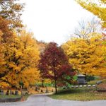 Mount Hope Cemetery Photo Courtesy of City of Rochester