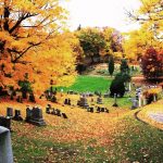 Mount Hope Cemetery Photo Courtesy of City of Rochester