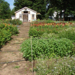 StettnerFarm_After