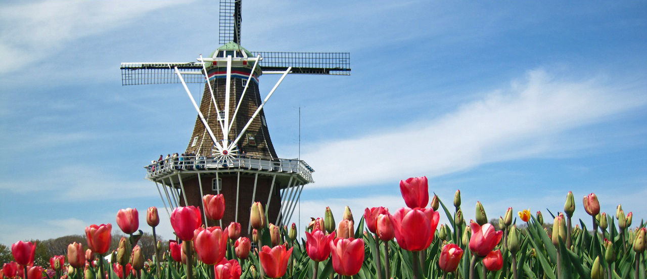 Landmark Travels: Holland (Michigan!) Tulip Festival – Landmark Society
